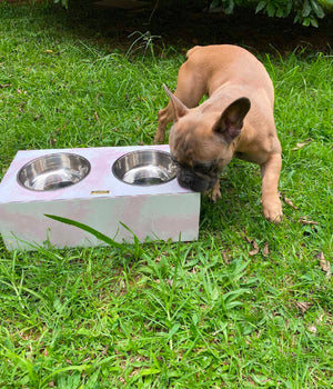 Comedero mascotas white and pink