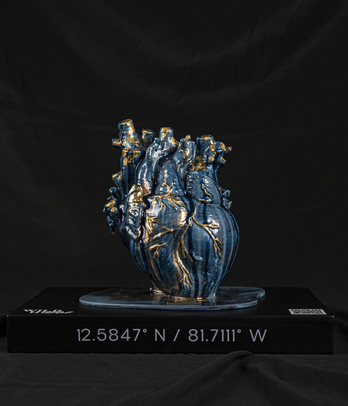 San Andrés - Wild Heart