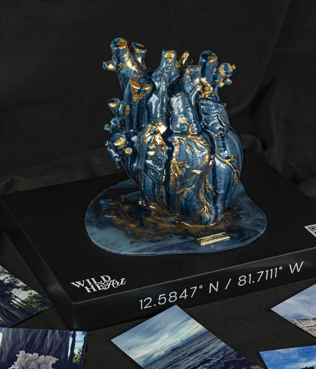 San Andrés - Wild Heart