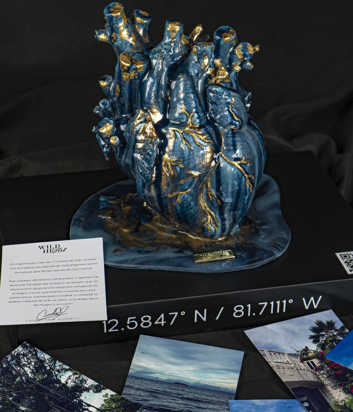 San Andrés - Wild Heart