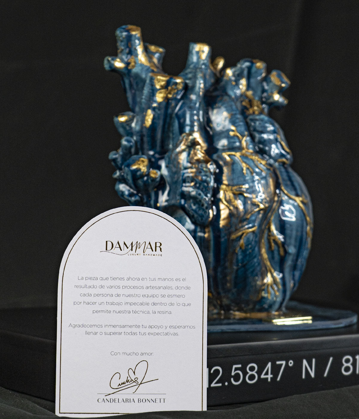 San Andrés - Wild Heart