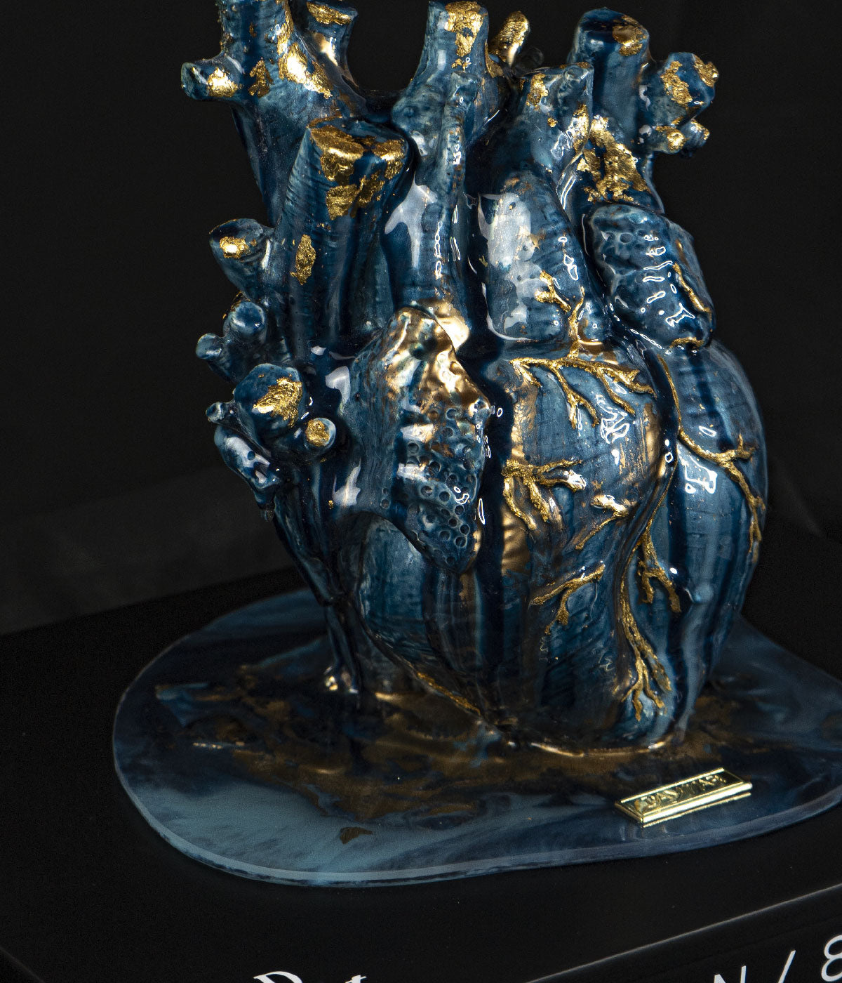 San Andrés - Wild Heart