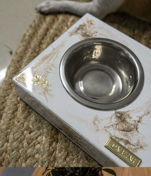 Comedero mascotas Greta white gold