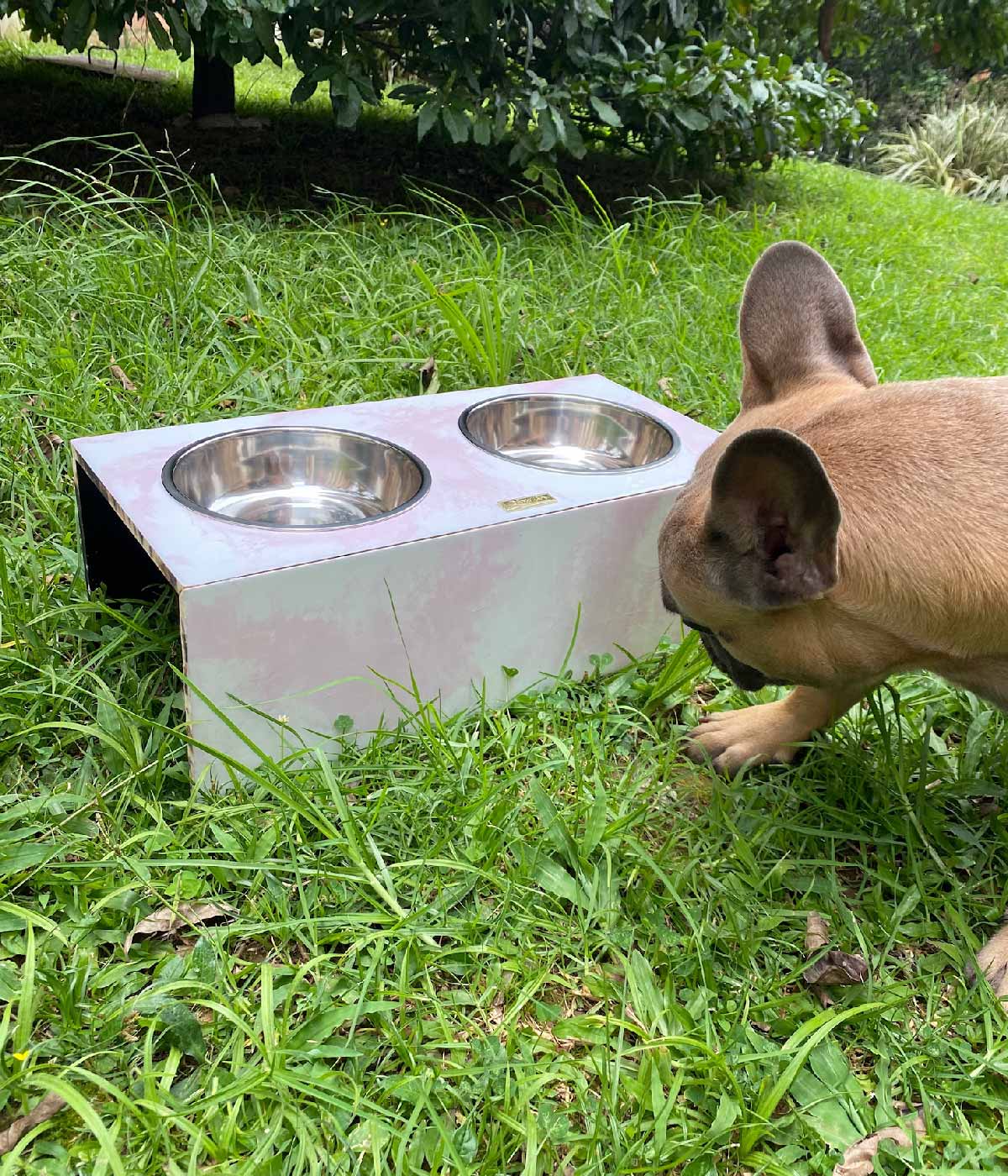 Comedero mascotas white and pink