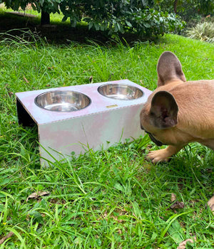 Comedero mascotas white and pink
