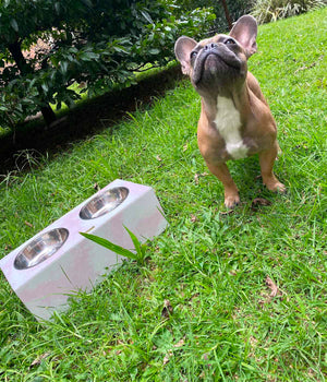 Comedero mascotas white and pink